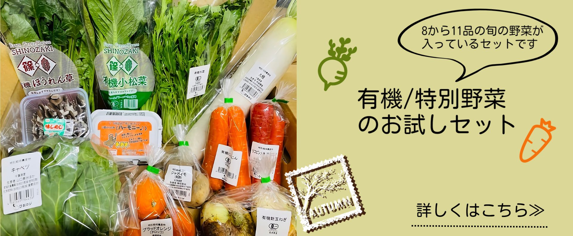 お試しセットカルーセル